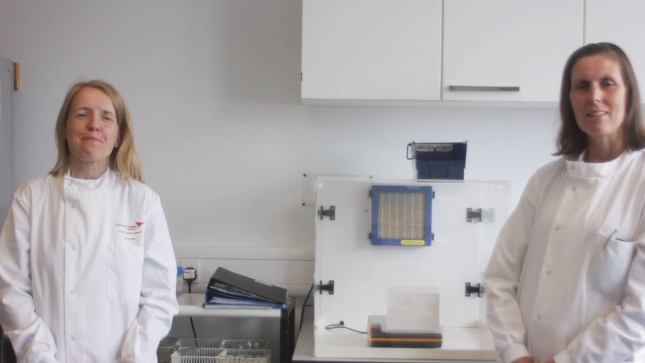 Lab technicians in lab with lab coats on