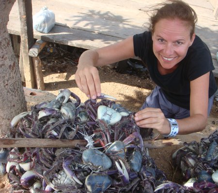 Mangrove crabs