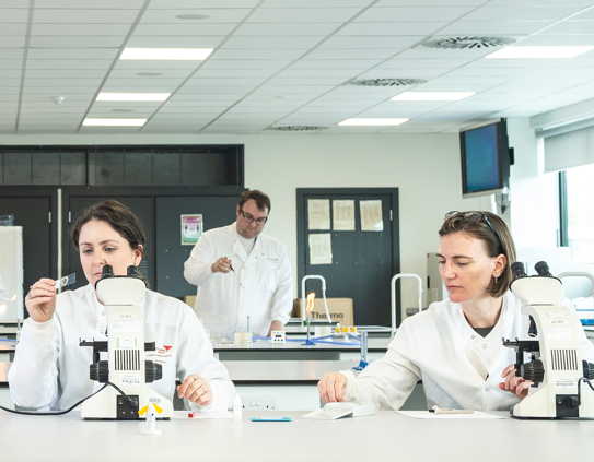 Medical Biotechnology lab